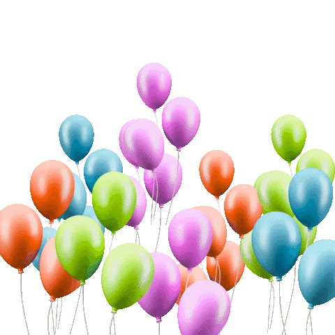 Happy Birthday Celebration Sticker by Camp Chipinaw