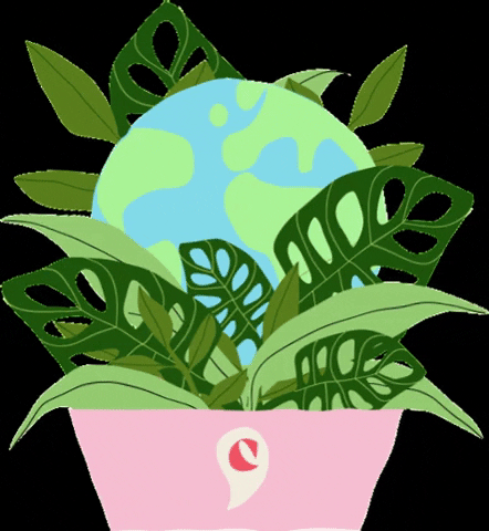 Commaperiods nature earth organic leaves GIF