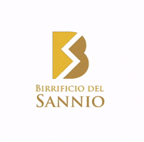 GIF by Birrificio del Sannio
