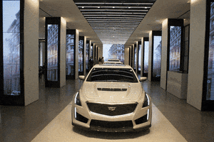 pandascoffee car nyc new york city cadillac GIF