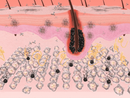 Hair GIF