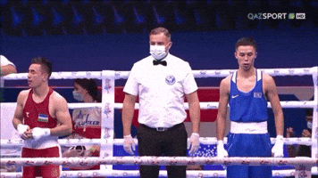 Artofboxing GIF by Bekzatsport