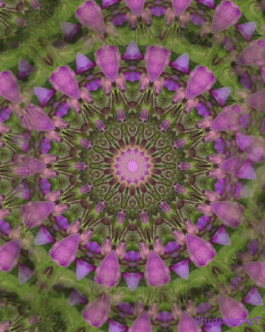 Flower Power Mandala GIF