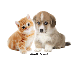 Mgd Sticker by mahagrid