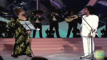 themute  GIF