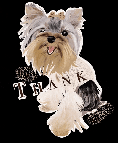 Yorkshire Terrier Thank You GIF