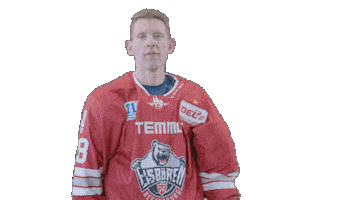 Hockey Family Sticker by Eisbären Regensburg