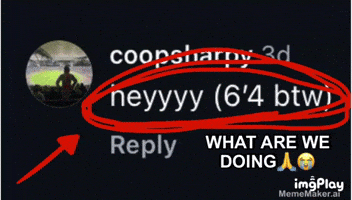 What Are We Doing GIF