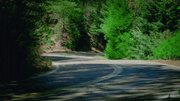 Chevrolet Corvette Chevy GIF by jesse_iwuji