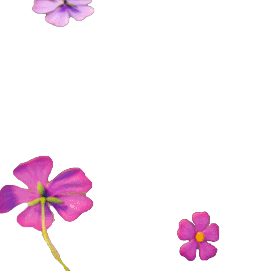 Flowers Skycinema Sticker by Sky