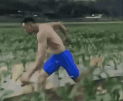 Chinese Son GIF