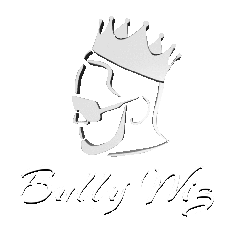 Bully Wiz Sticker