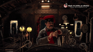 Beer GIF by Tyskie