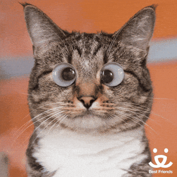 Es normal amanecer caliente