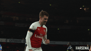 premier league yes GIF by Arsenal