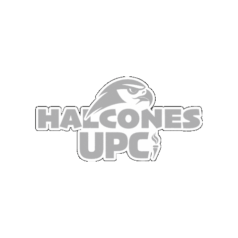 UPCPachuca Sticker