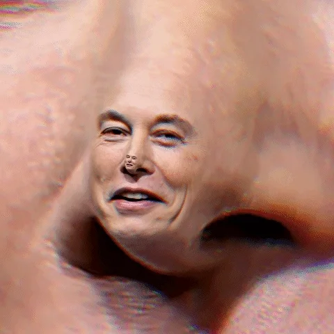 Elon Musk Lol GIF