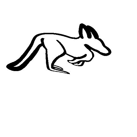 John Newcombe Tennis Ranch Sticker