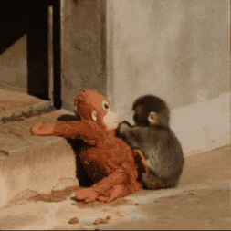 Monkey Punch GIF
