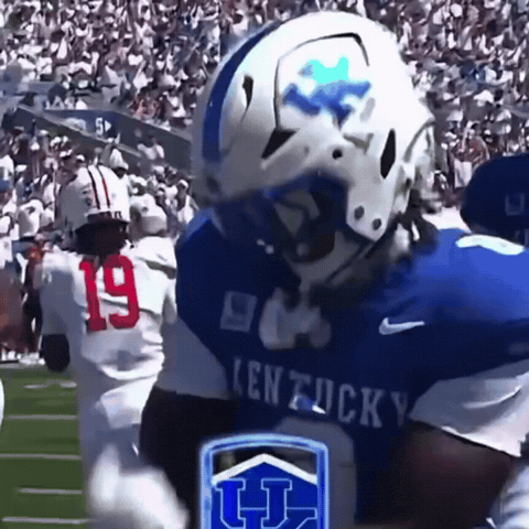 Kentucky Wildcats GIF