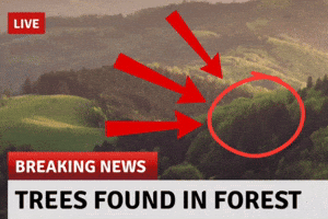 Tree Forest GIF