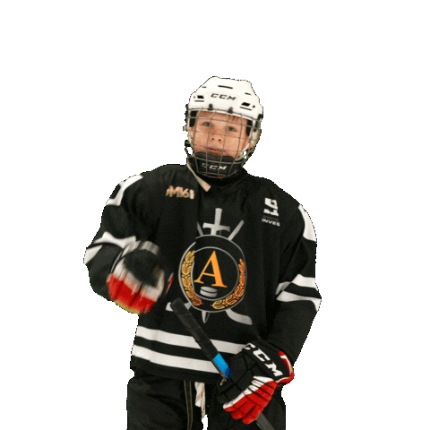 Alfa hockey Sticker