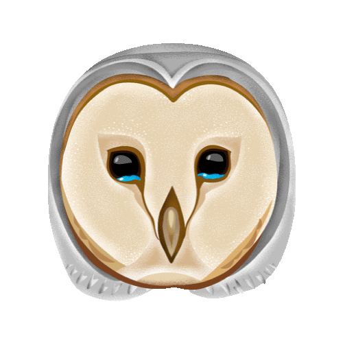 Owl Birds Sticker by United Nations Environment Programme