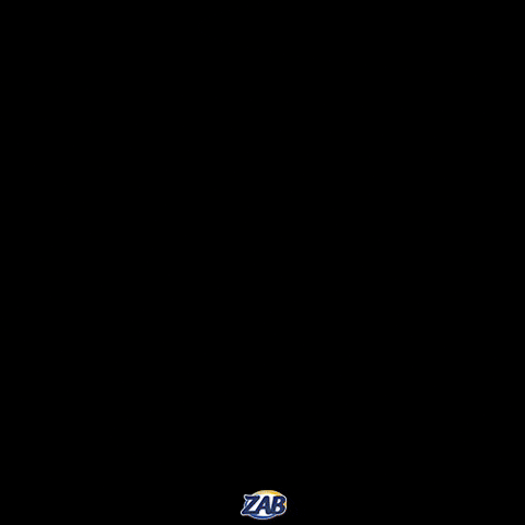 ZAB Oficial GIF