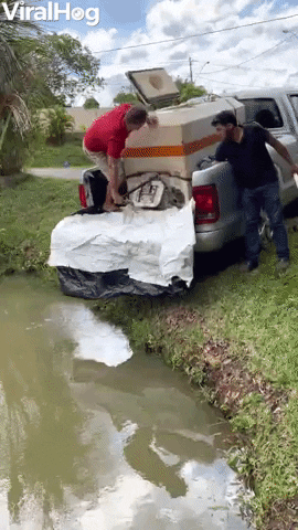 Man Slips And Falls While Stocking Pond With Fish GIF by ViralHog