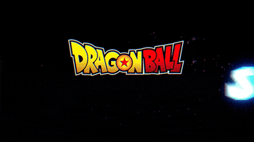 Dragon Ball Db GIF by BANDAI NAMCO