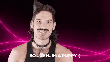 Gay Puppy GIF by Hot Haus