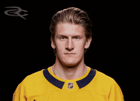 Nashville Predators GIF by Respective