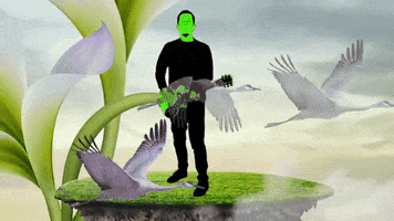 official video flynt floss GIF by Jimmy Eat World