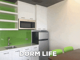 dorm life GIF by Lynn University Admission