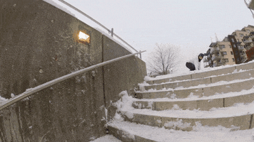 snowboarding will smith GIF by X Games 