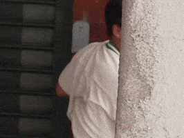 Sb Estilo GIF by EmentaSB