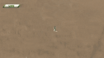 marcianos  GIF