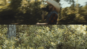 Merge Records Bigfoot GIF by Spider Bags