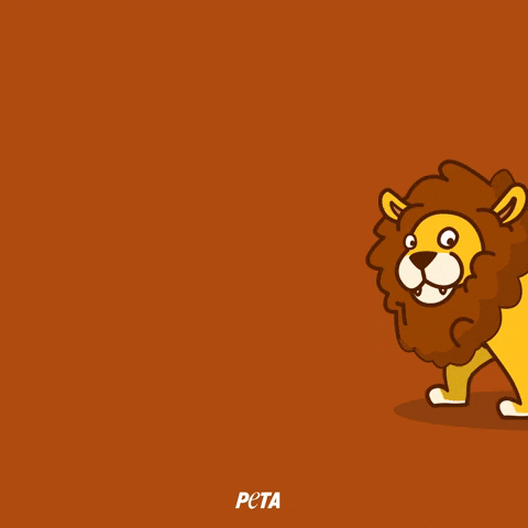 Animal Rights GIF by PETA