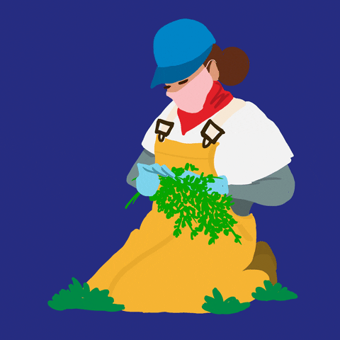 Illustrated gif. Woman wearing fully outfitted for gardening, kneels in the grass while she works a handful of herbs.
