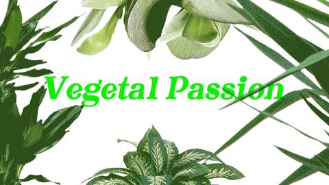 passion