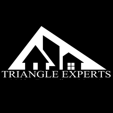 GIF by Triangle Experts