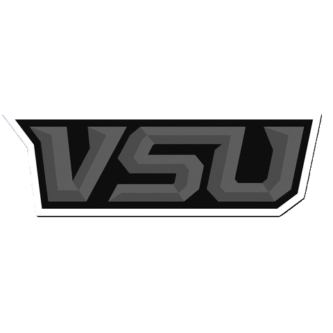 VSUMemes GIF