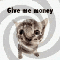 Give Me Cat GIF