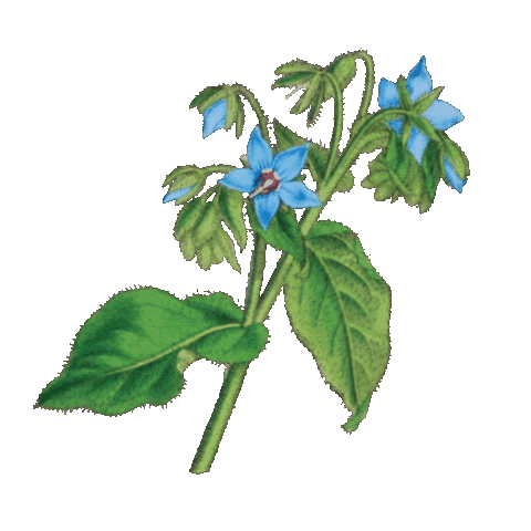 Yellow Backpack Project Sticker