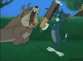 tom and jerry fighting GIF