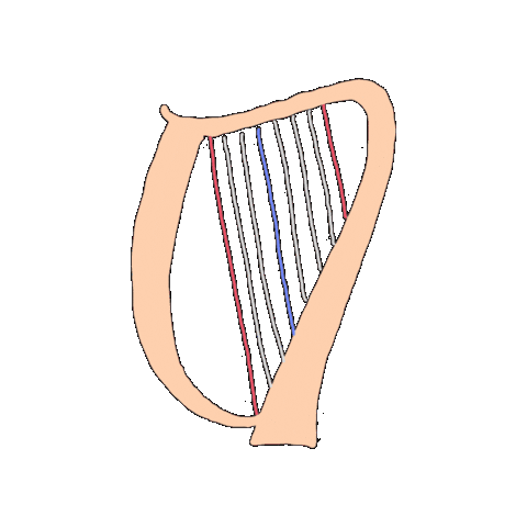 Harp Sticker