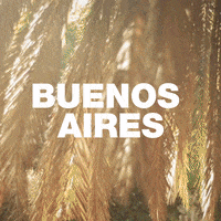 buenos aires filmmakers GIF