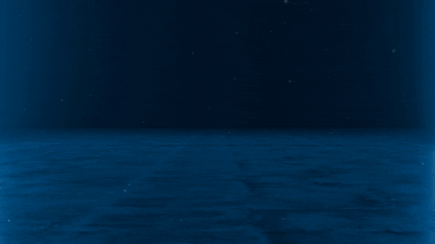 randomgif
