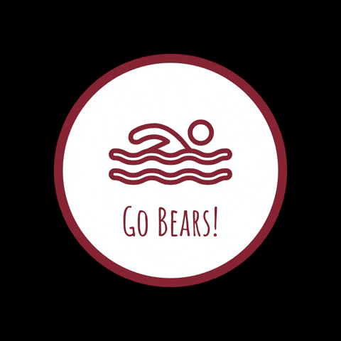 Golden Bears GIF by HIES Athletics